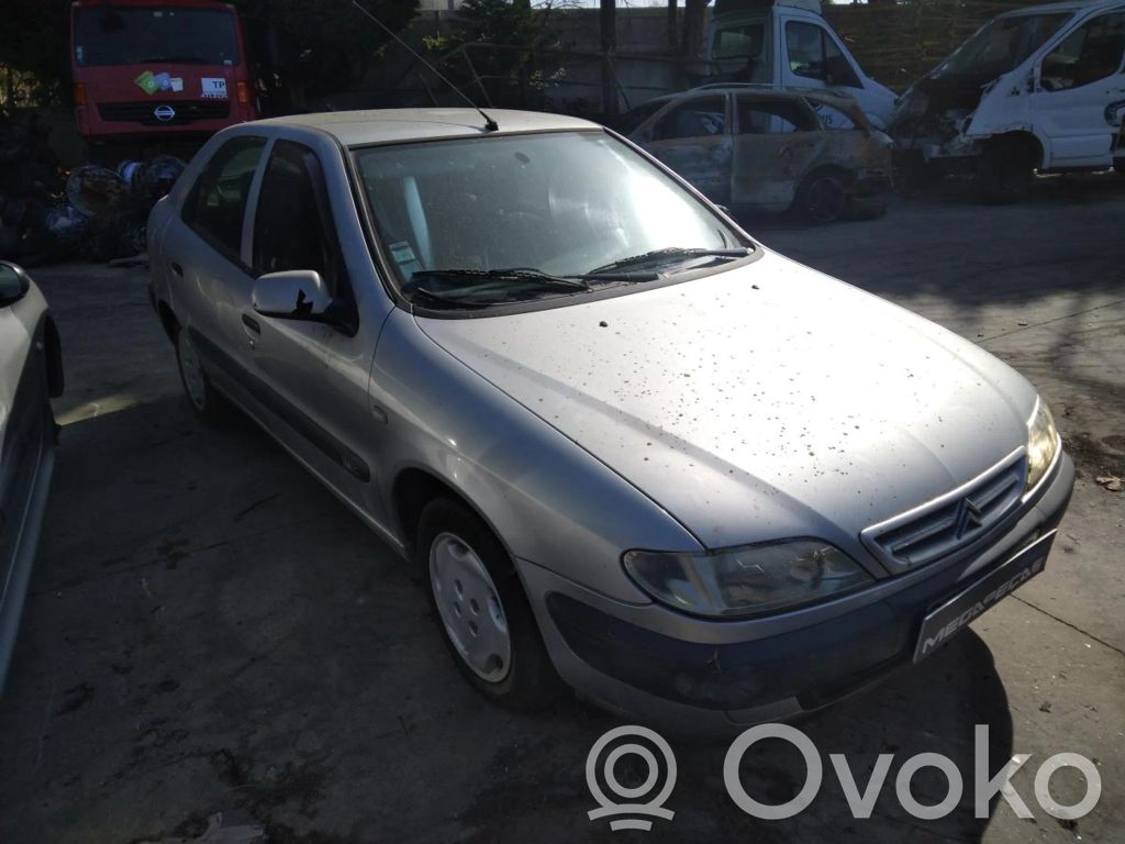 Xsara Xsara, Xsara Picasso