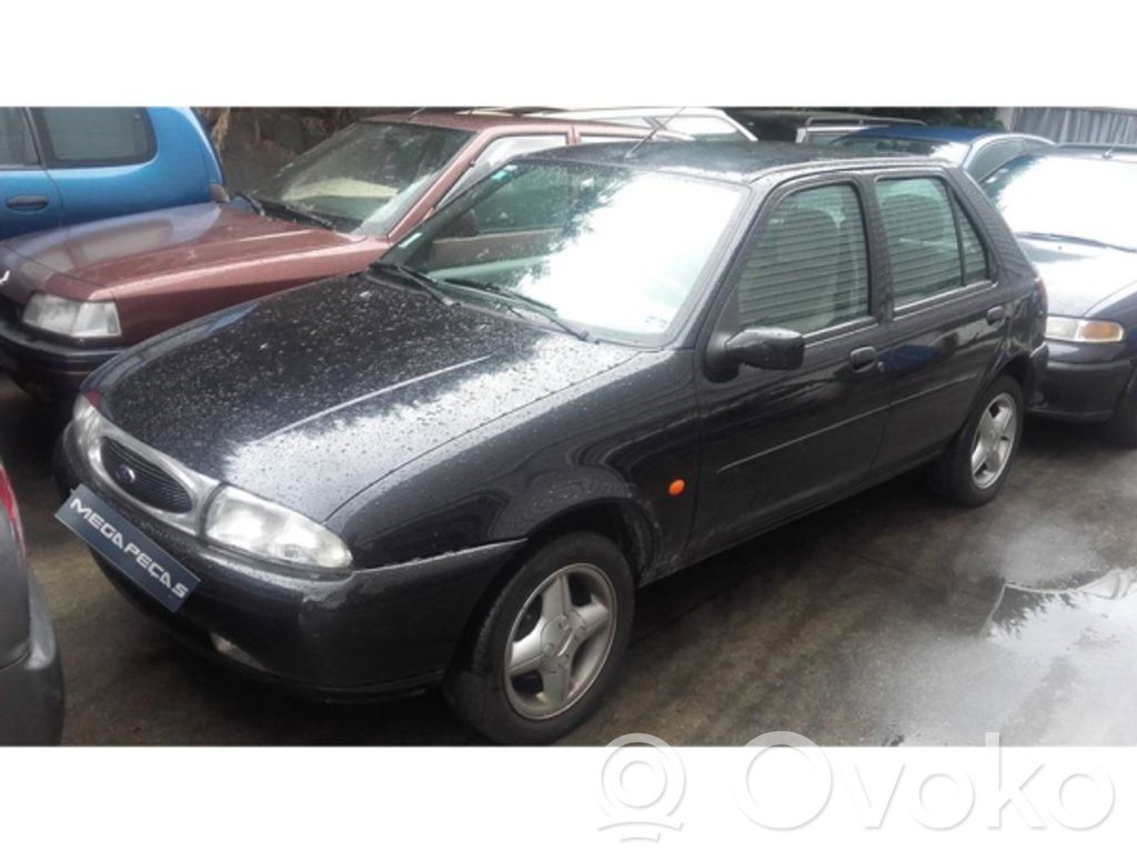 Fiesta Fiesta