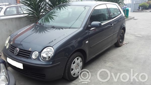Polo IV 9N3 Polo