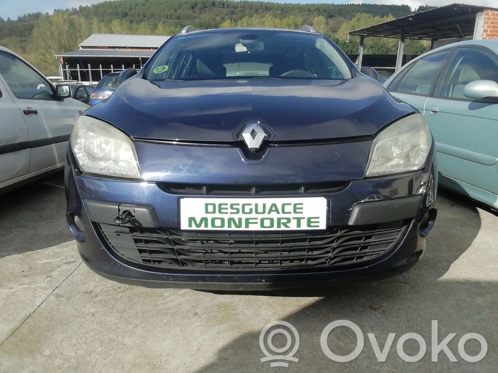 Megane III Megane  255670019R