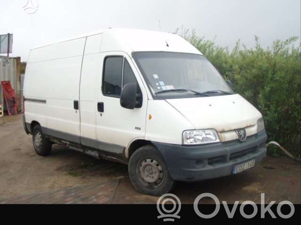 Boxer Boxer  D7R26