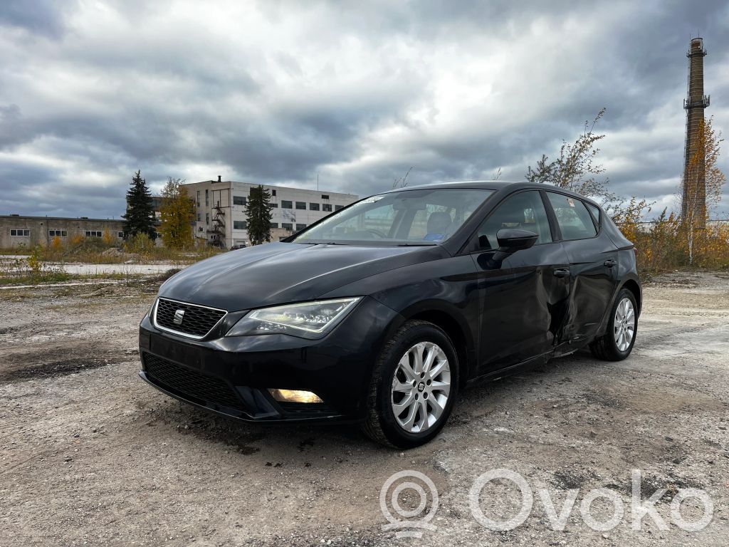 Leon (5F) Leon  5F0807421