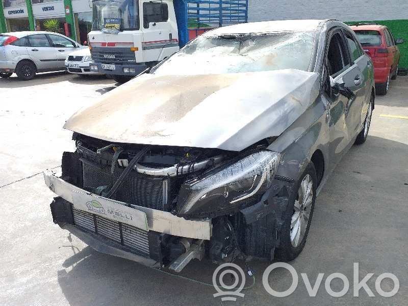 A W176 A-class  A2469009815