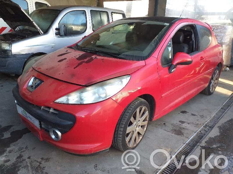 207 207  9648337580