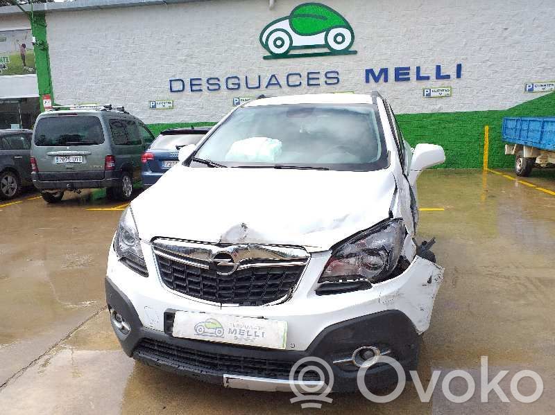 Mokka Mokka  13501151