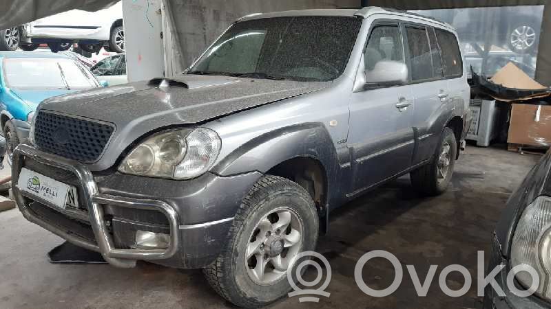 Terracan Terracan  282004A210