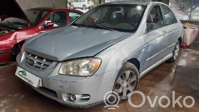 Cerato Cerato  852022F050NM