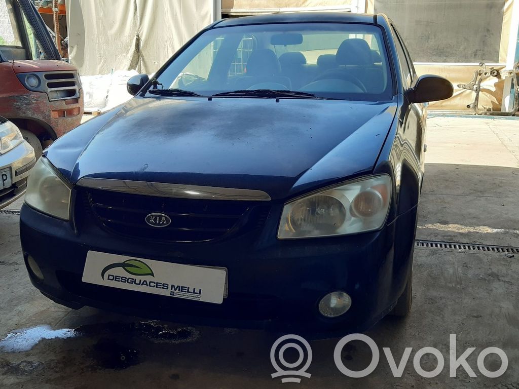 Cerato Cerato  3610023160