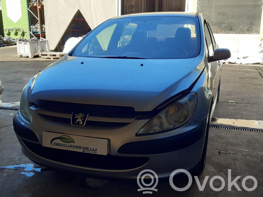 307 307  96345028ZR