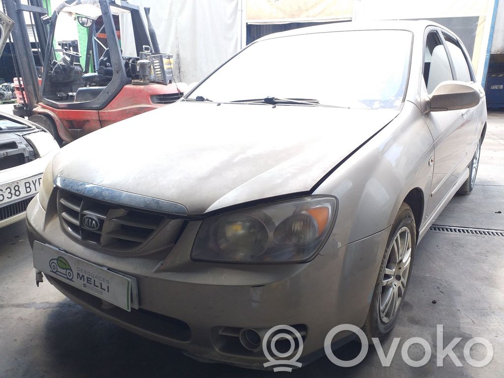 Cerato Cerato  0K30C61B15