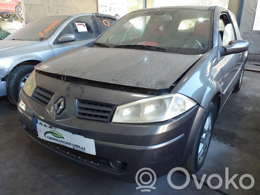 Megane II Megane  8200115543