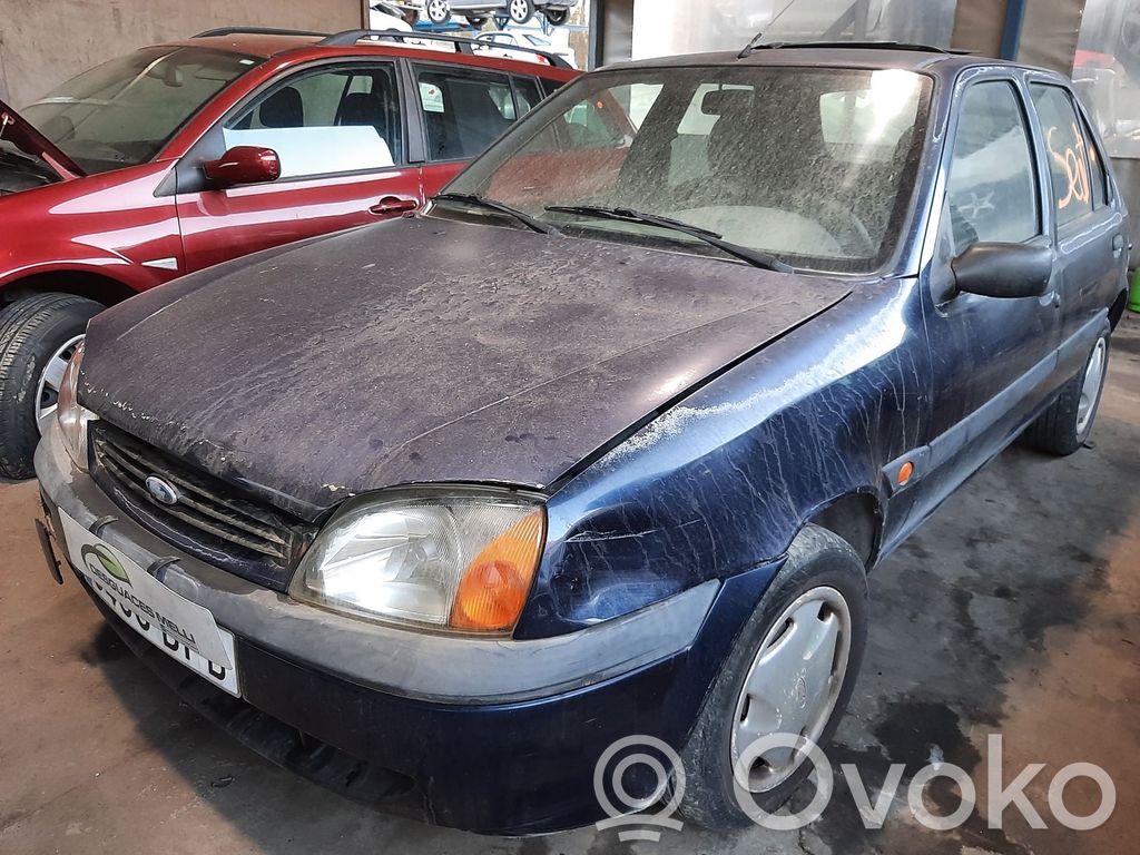 Fiesta Fiesta  95BF9B969