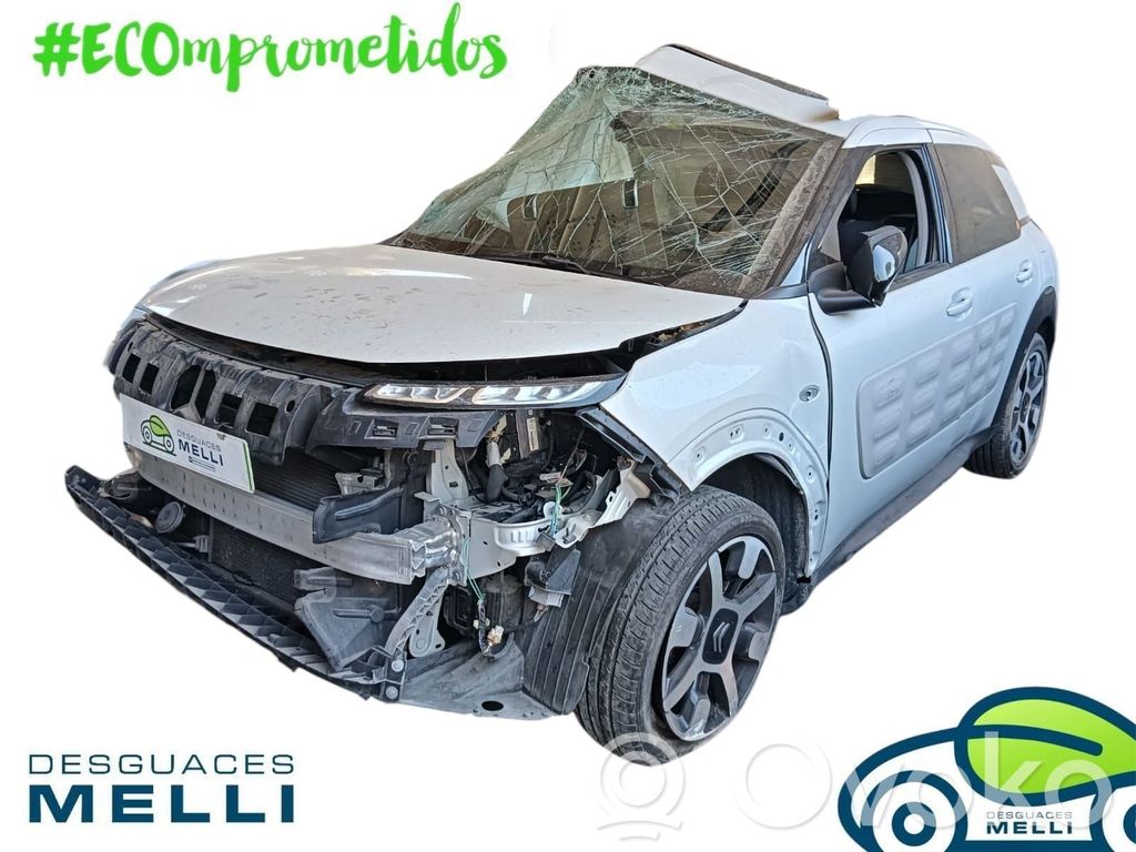 C4 Cactus C4 Picasso, Grand Picasso, Aircross, Cactus  9804687380
