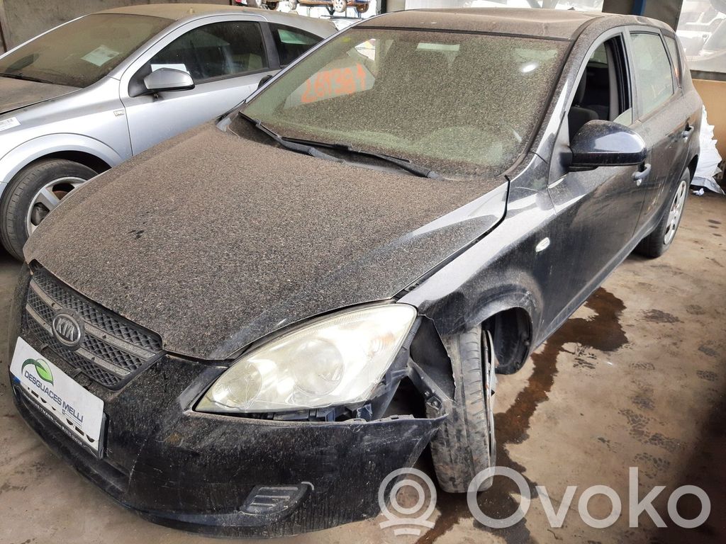Ceed Ceed, Ceed SW, Pro Ceed  876201H100CA