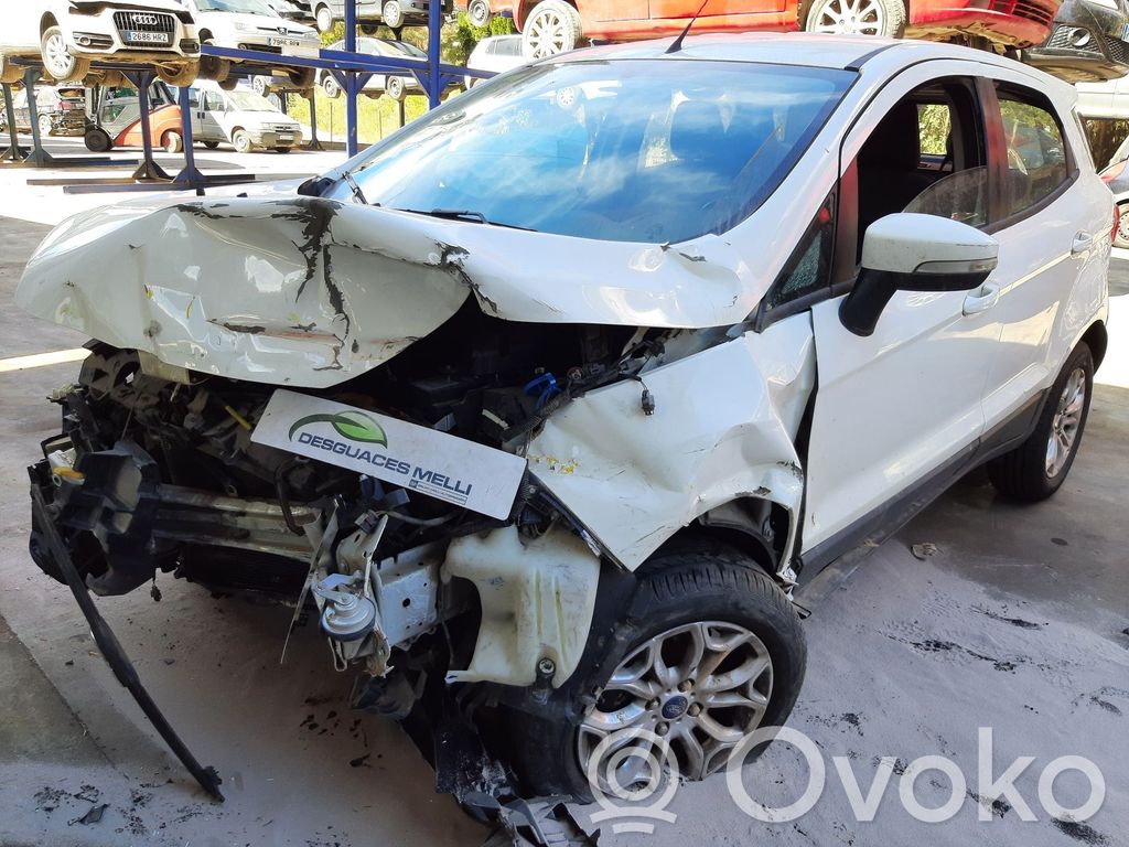 Ecosport Ecosport  2107407