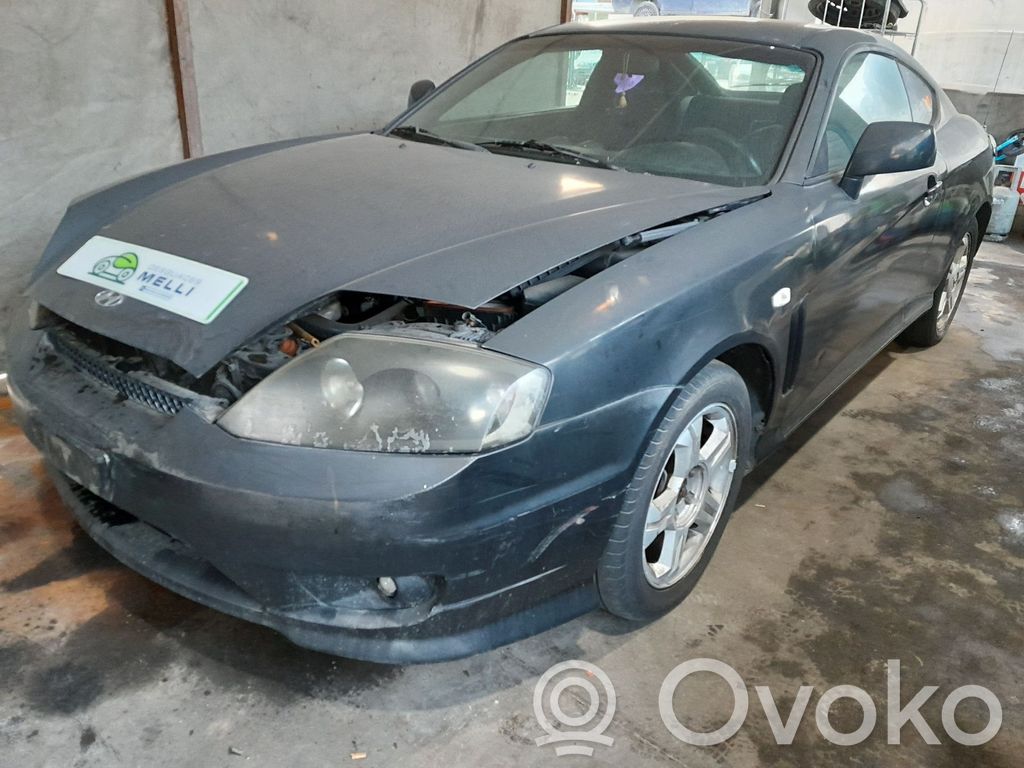 Coupe Coupe  253802C000