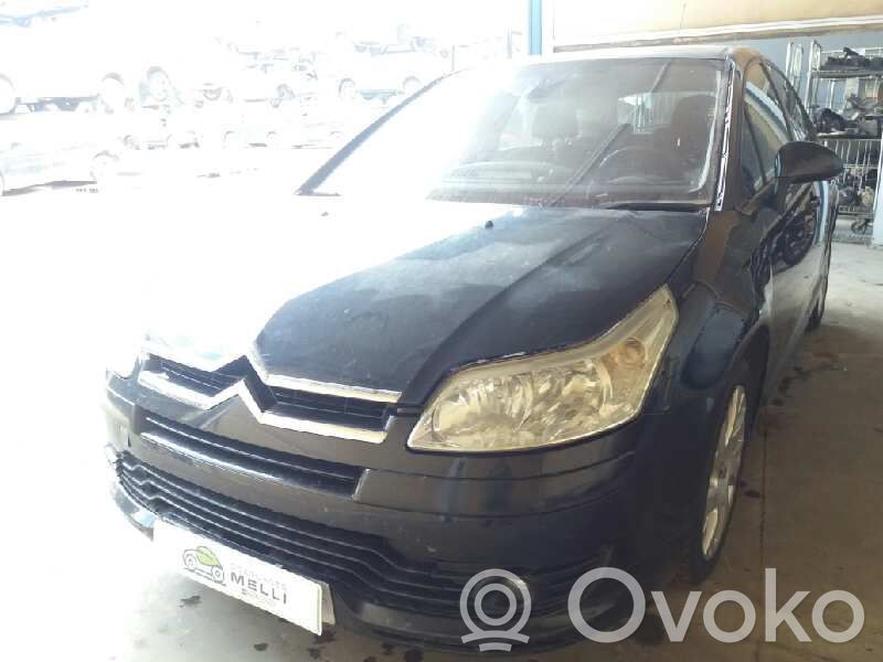 C4 I C4 Picasso, Grand Picasso, Aircross, Cactus  1D