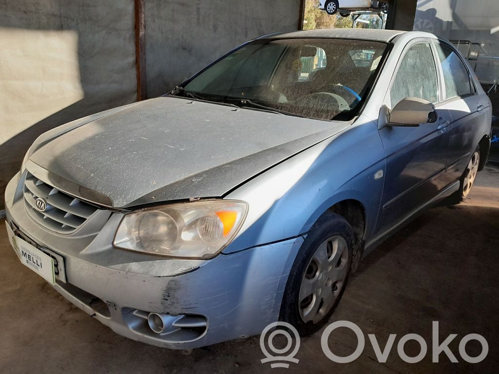 Cerato Cerato  3510027