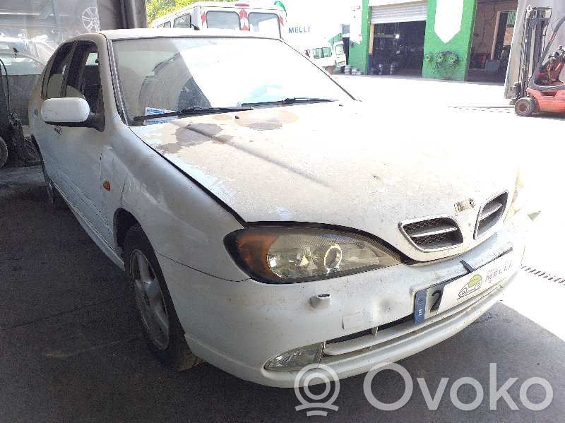 Primera Primera  64554