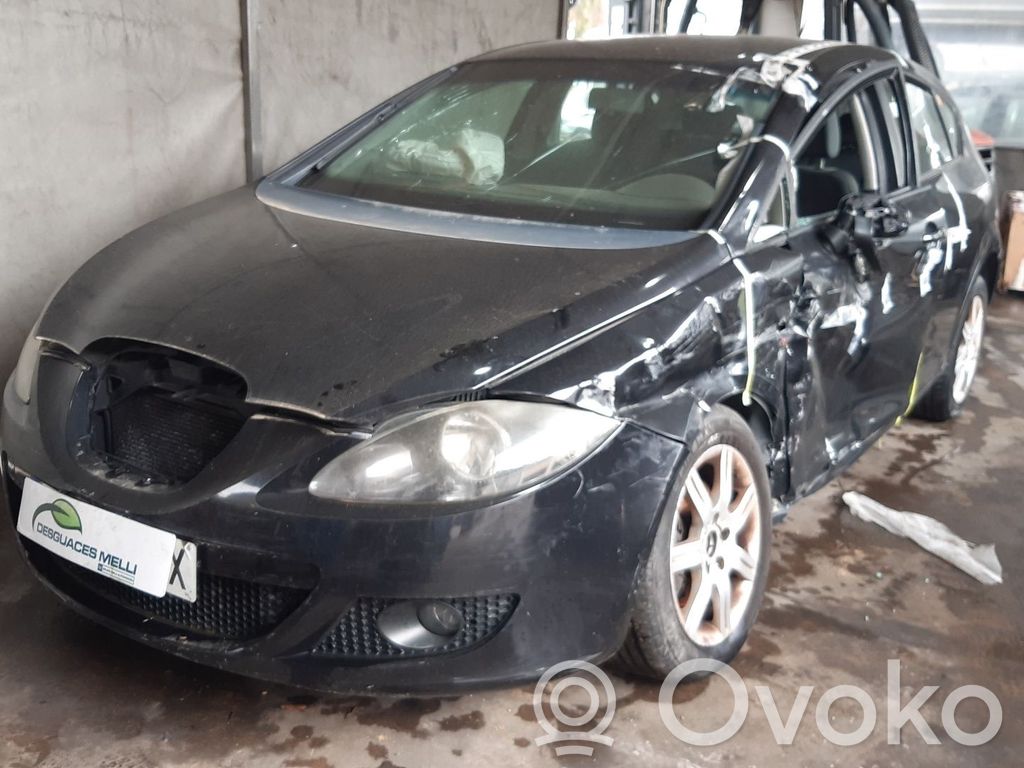Leon (1P) Leon  1K0953519A