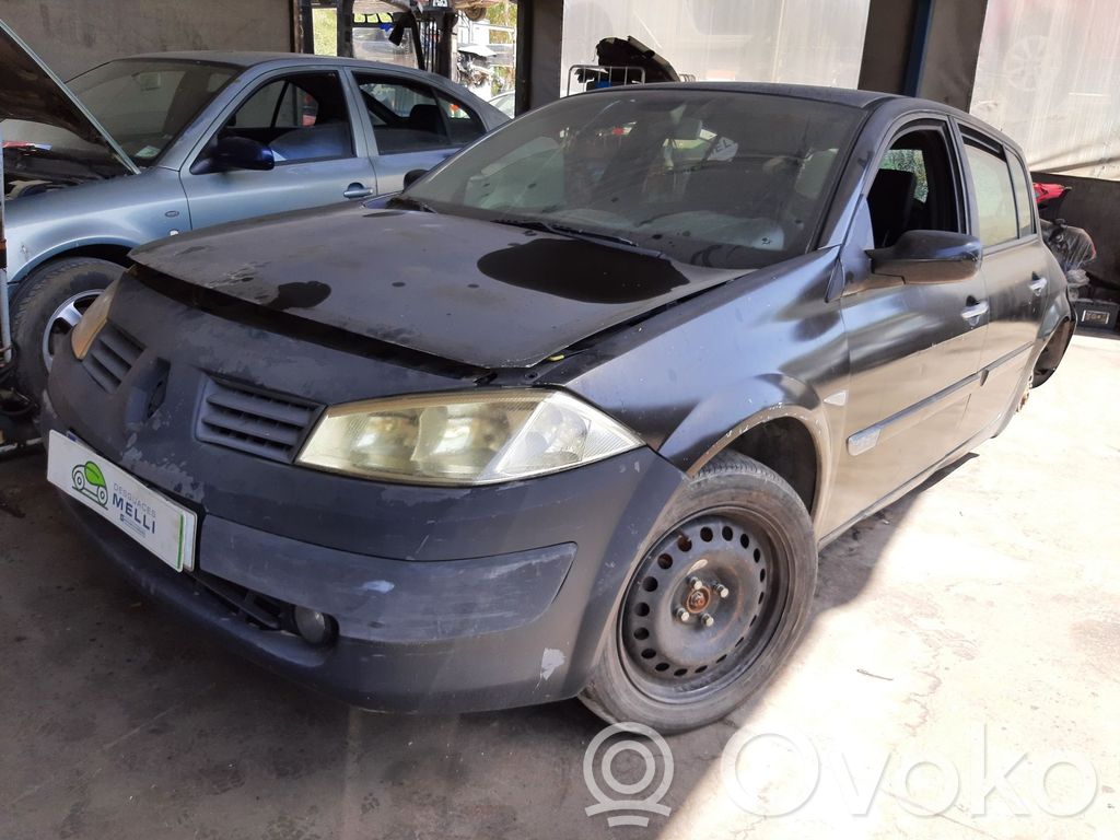 Megane II Megane  8200027776