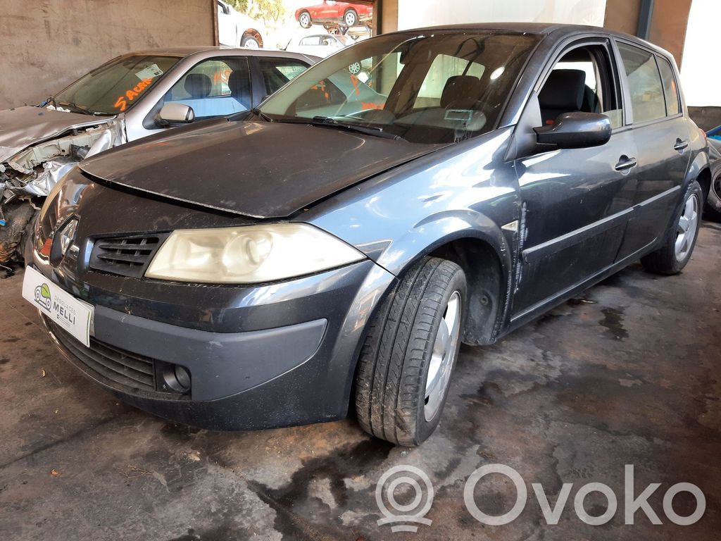 Megane II Megane  407396