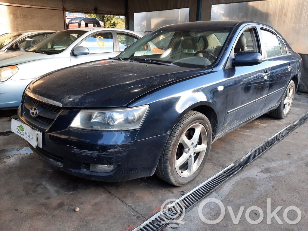 Sonata Sonata  253853K400