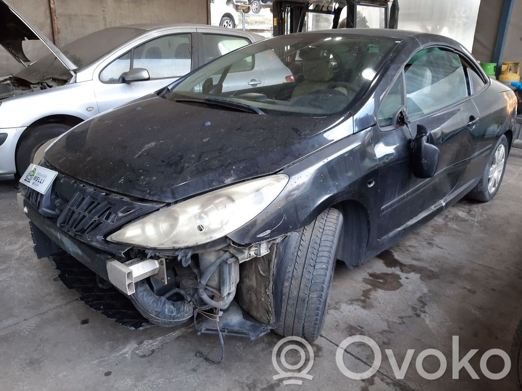 307 CC 307  9645948780