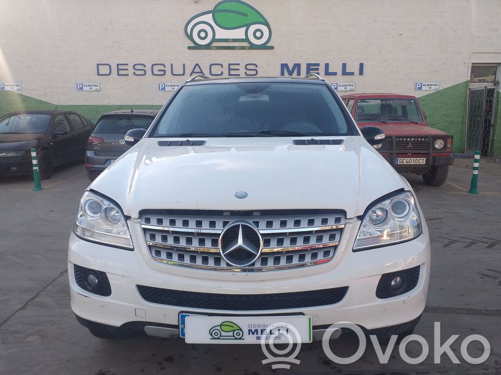 ML W164 ML-class, AMG (W163, W164, W166)  1648102310