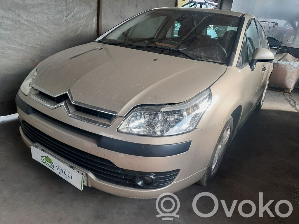C4 I C4 Picasso, Grand Picasso, Aircross, Cactus  0204051007