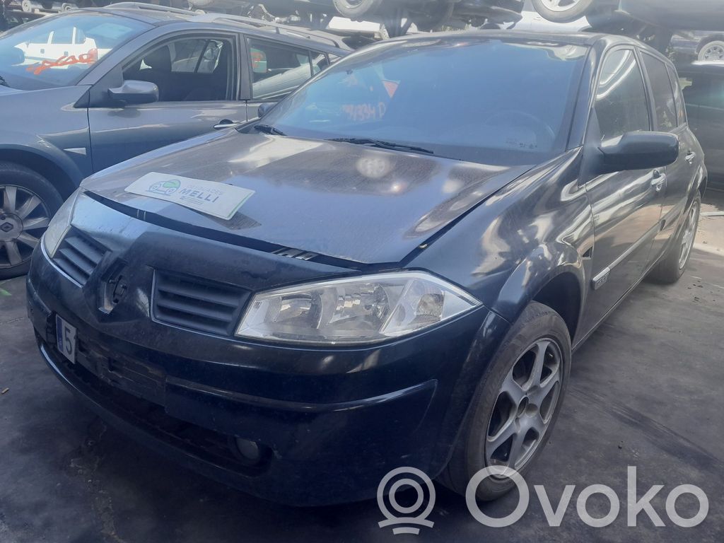 Megane II Megane  1927937