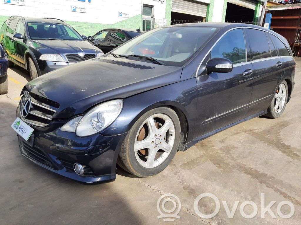 R W251 R-class, AMG (W251)  A6420701987
