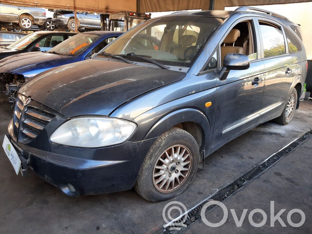 Rodius Rodius/Stavic  7346021001EAH