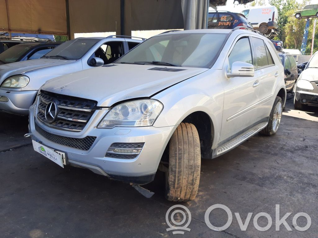 ML W164 ML-class, AMG (W163, W164, W166)  A1648203002