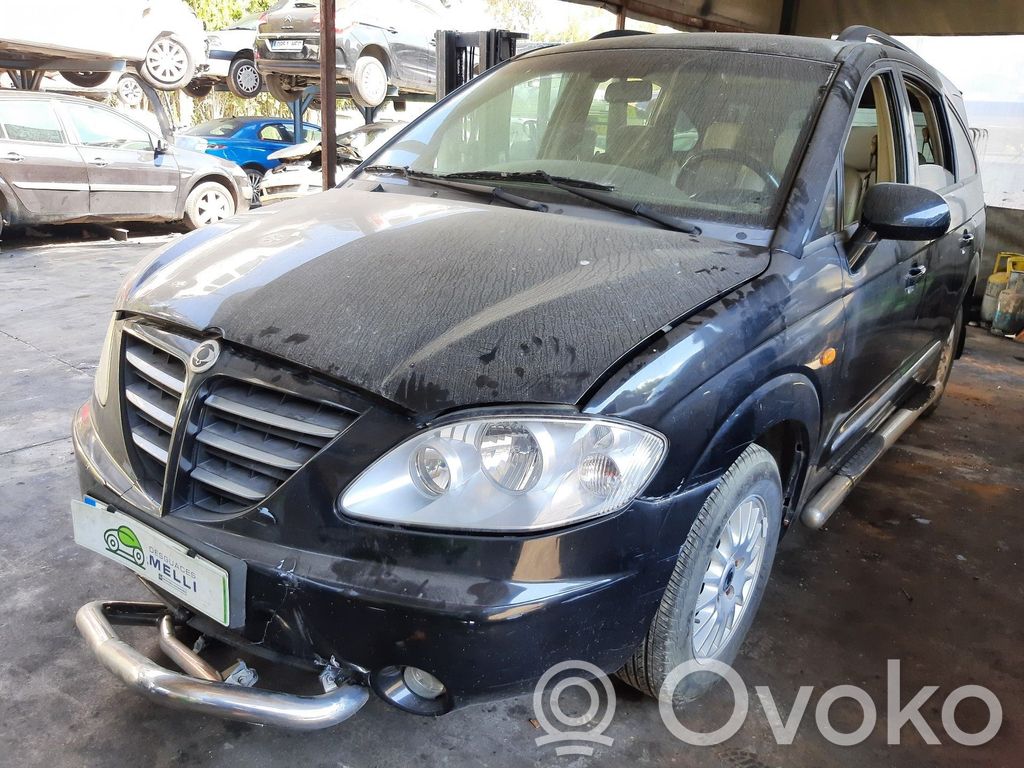 Rodius Rodius/Stavic  7132021004