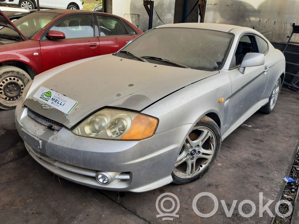 Coupe Coupe  3610023100