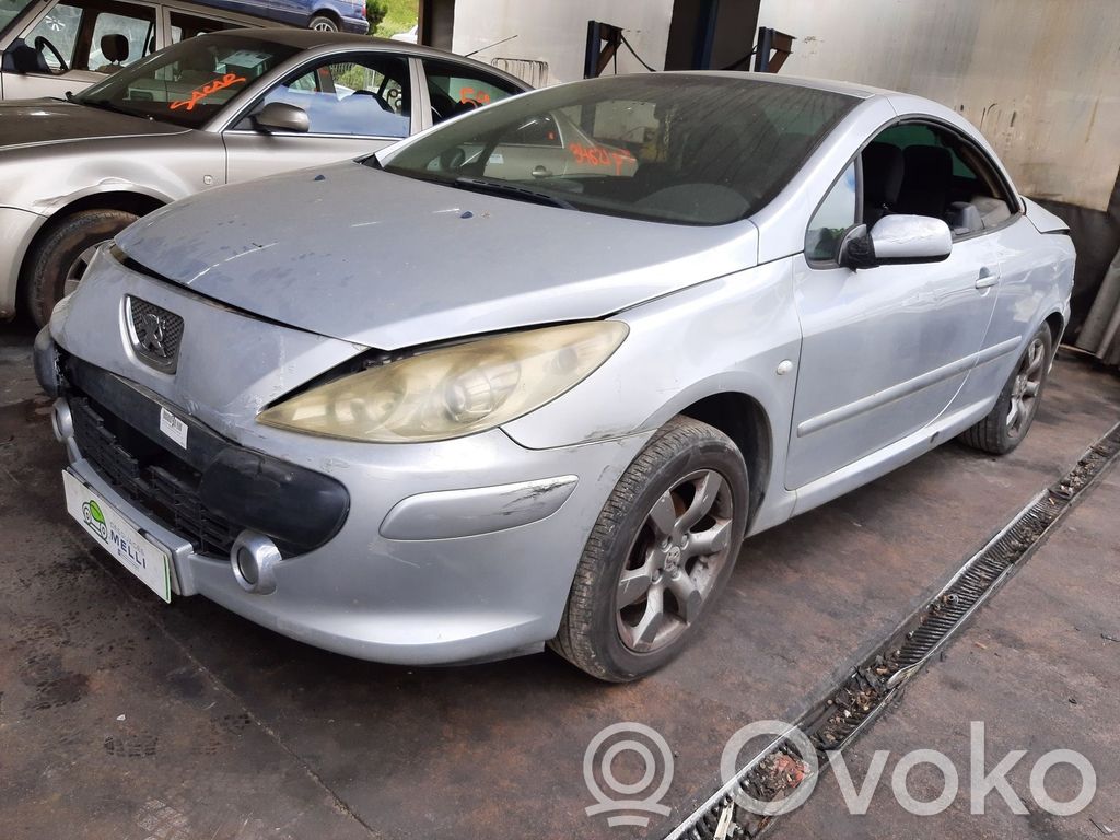 307 CC 307  9812781180