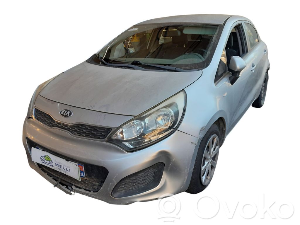 Rio Rio  281642A401