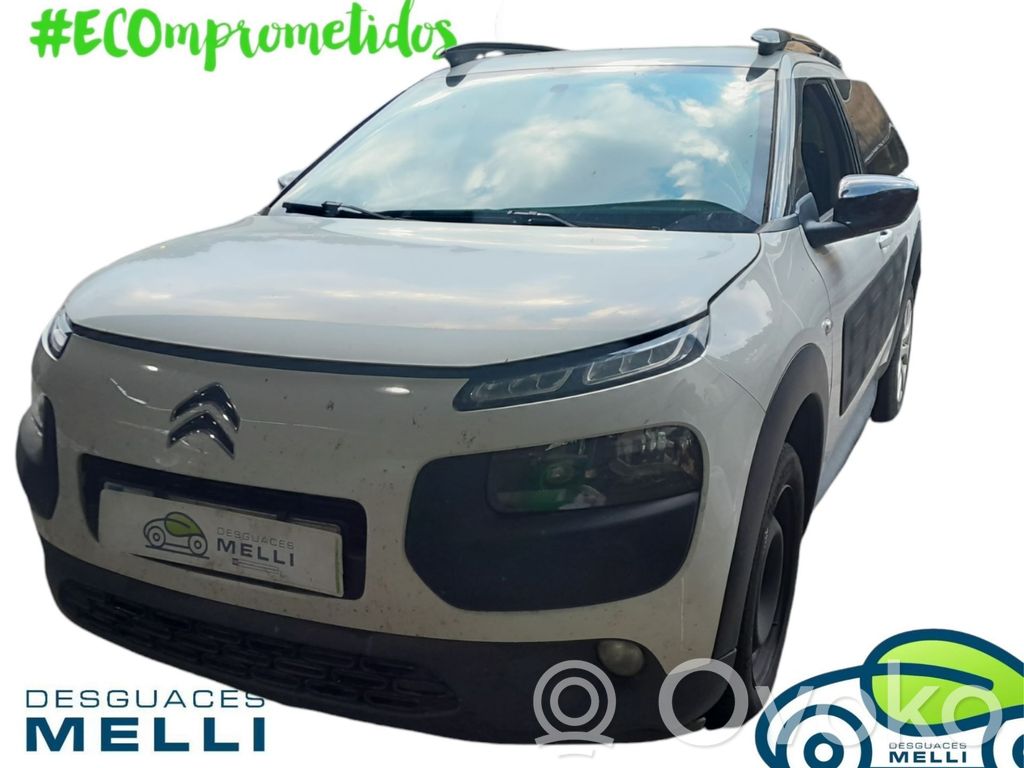 C4 Cactus C4 Picasso, Grand Picasso, Aircross, Cactus  9673622380