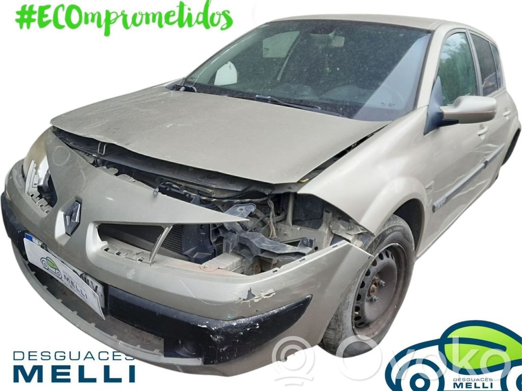 Megane II Megane  8200399569