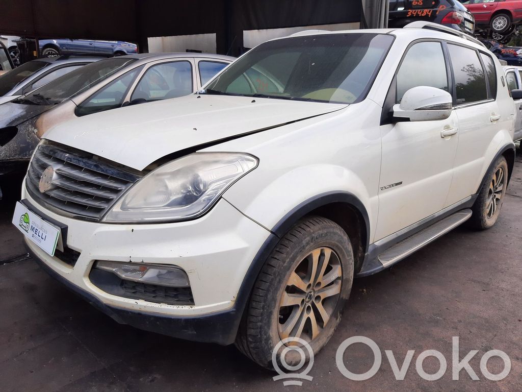 Rexton Rexton  321958W
