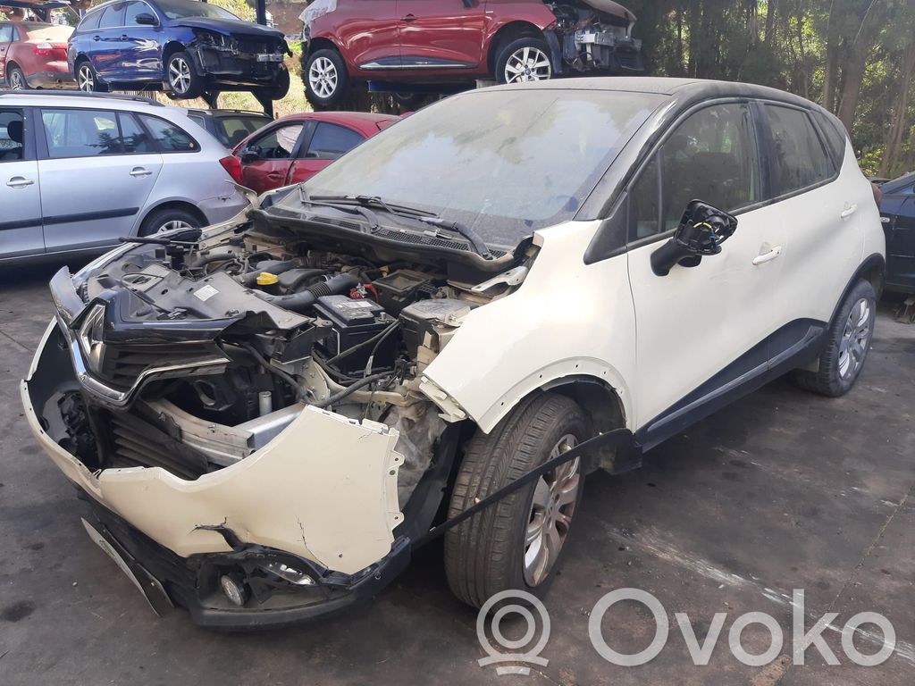Captur Captur  809003077R