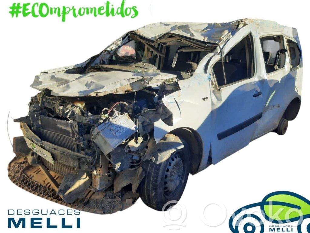 Kangoo II Kangoo  88102002256