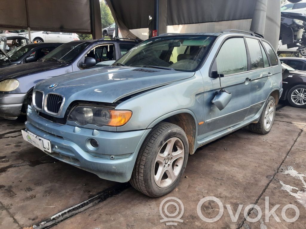 X5 E53 X5  61318373738