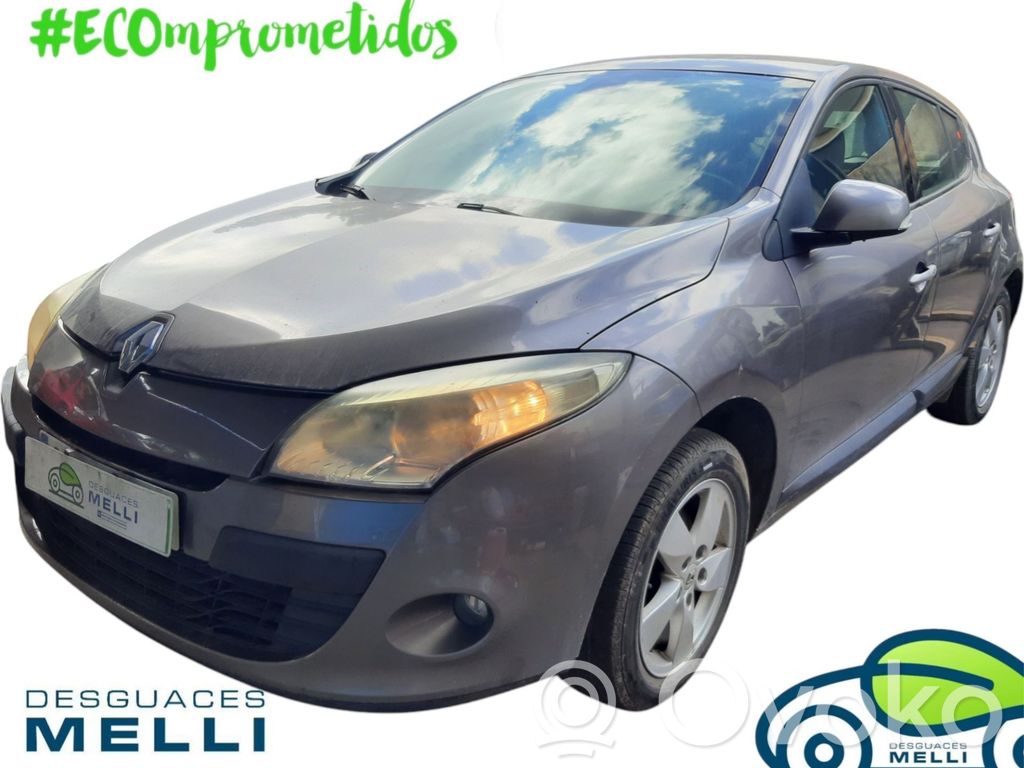 Megane III Megane  825020002R