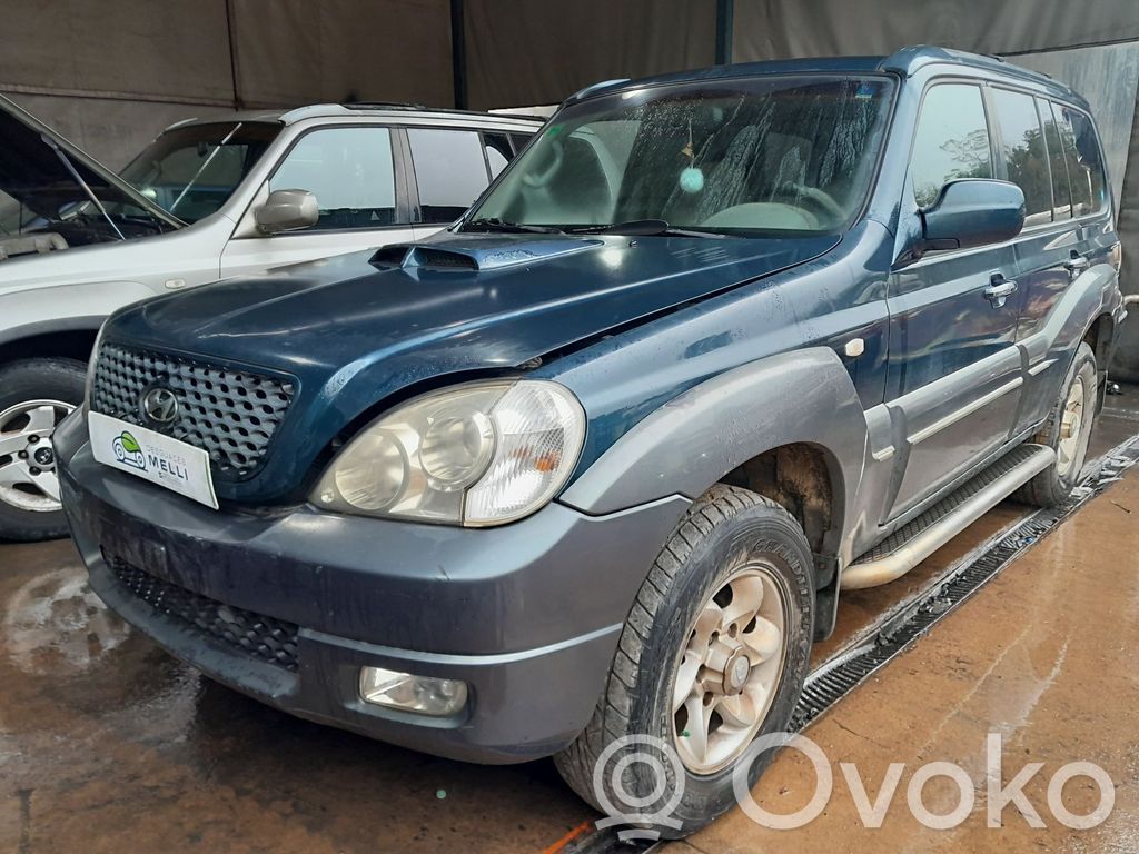 Terracan Terracan  361004X211