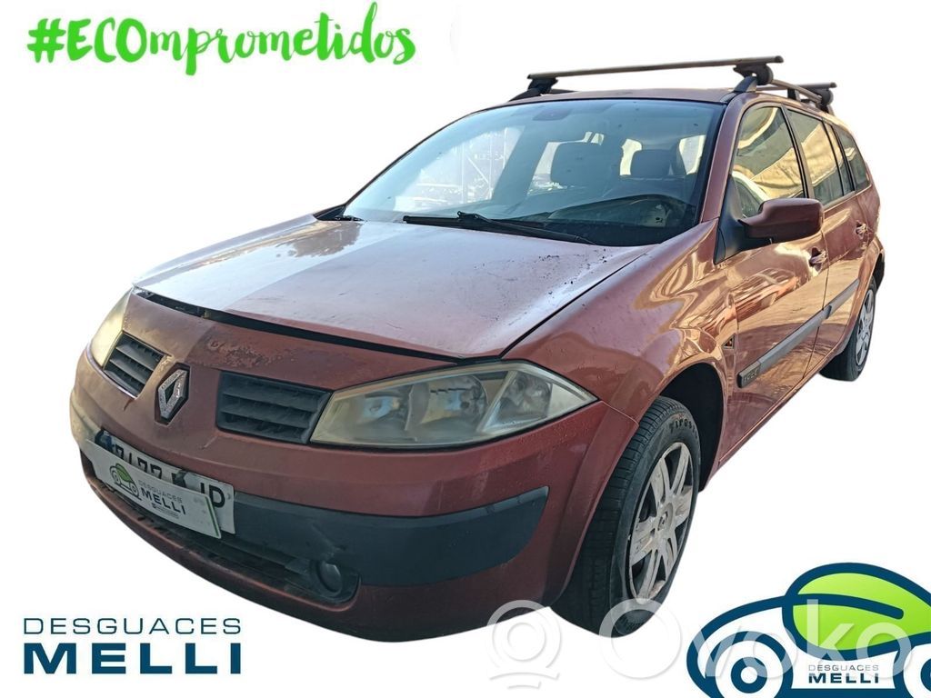 Megane II Megane  D163451323