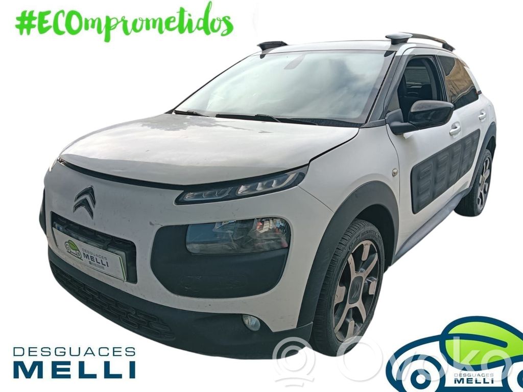 C4 Cactus C4 Picasso, Grand Picasso, Aircross, Cactus  9800777280