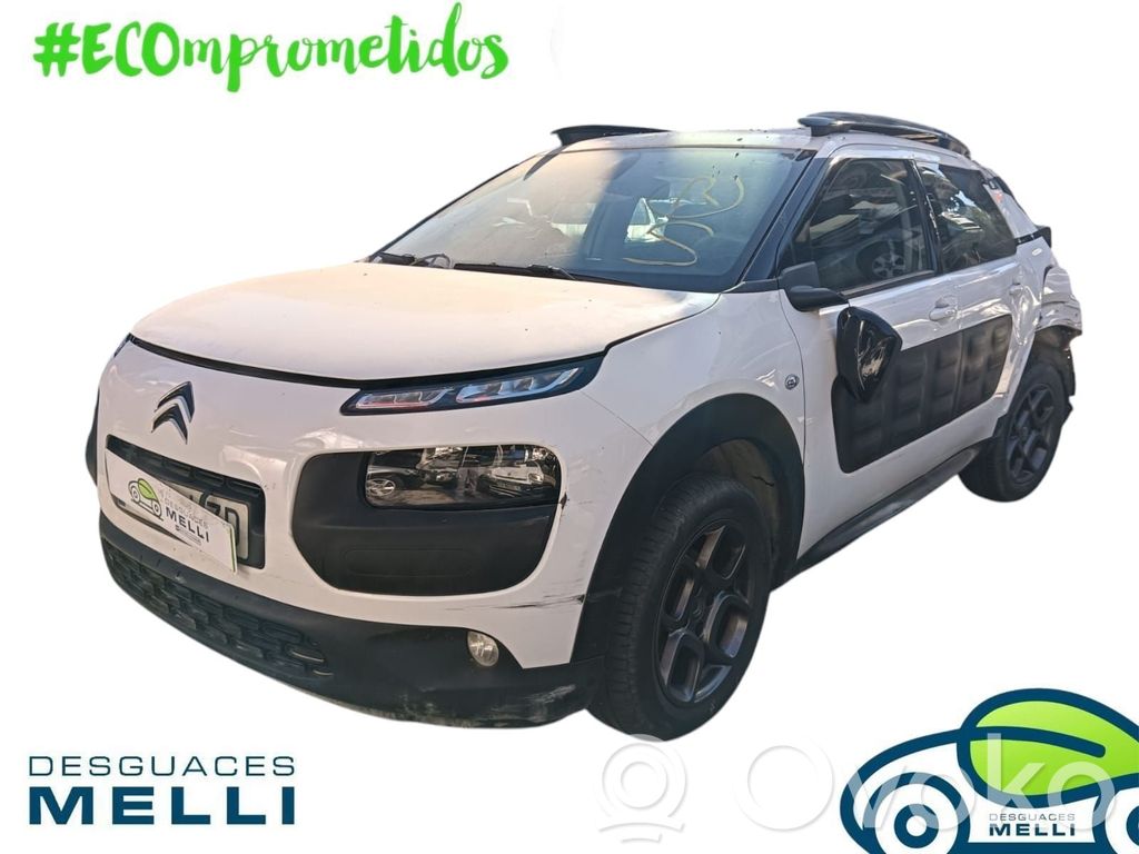 C4 Cactus C4 Picasso, Grand Picasso, Aircross, Cactus  9801808680