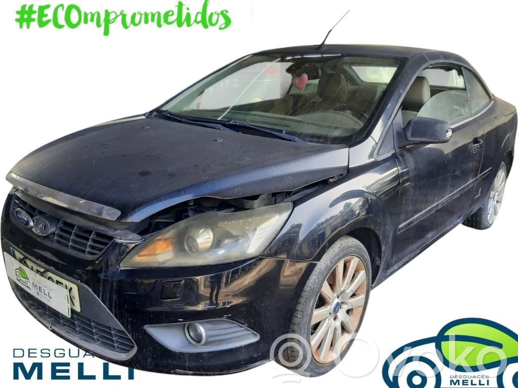 Focus Focus  1708682